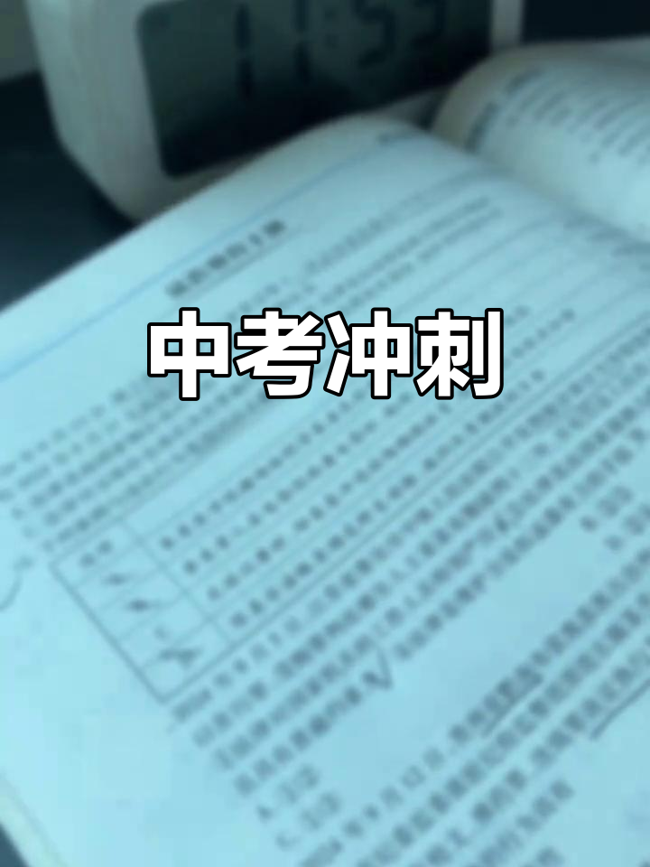 争夺冠军球队备战踏实，全力以赴迎接挑战的简单介绍