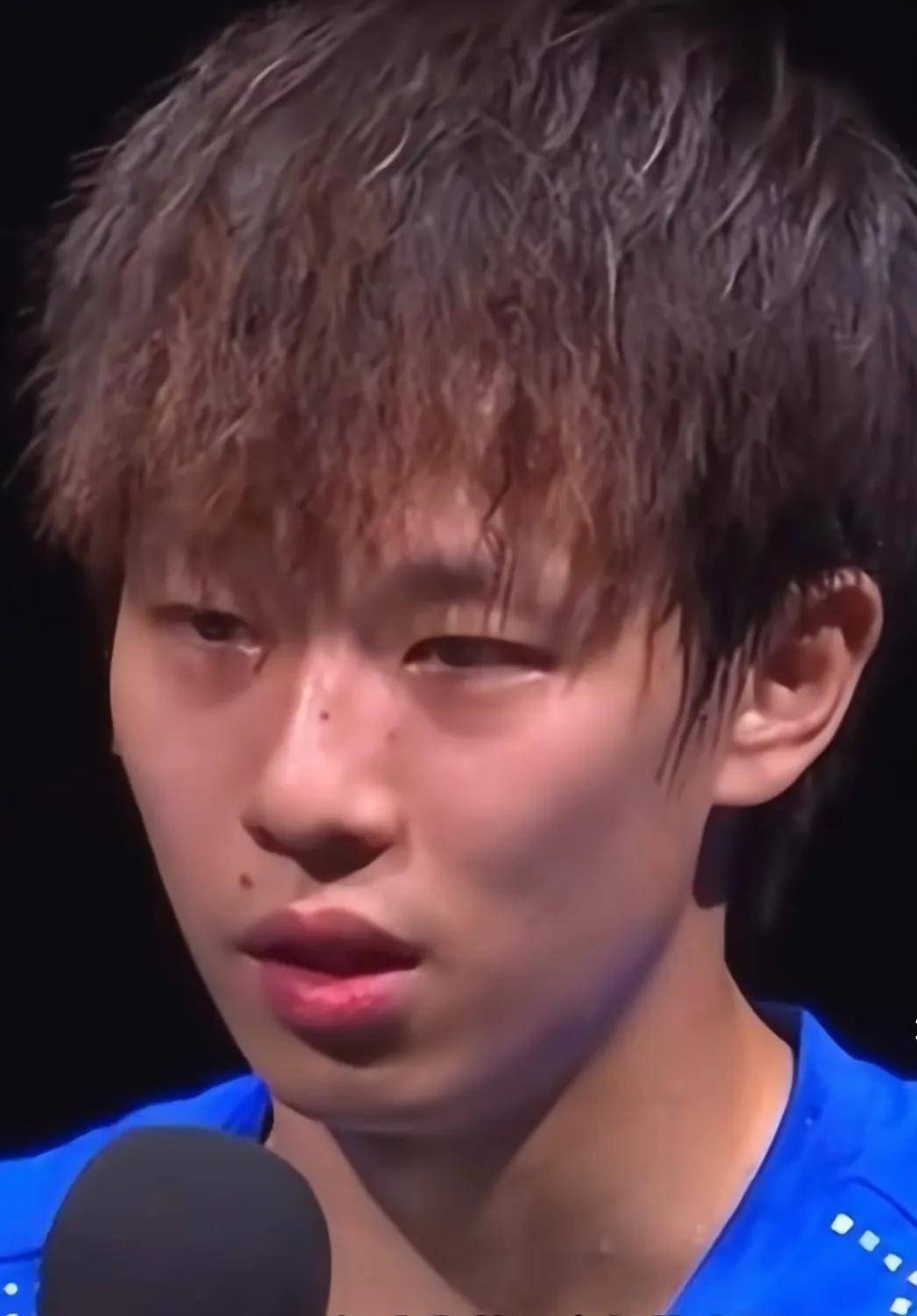 瑞典队绝杀德国队，林高远惊艳四座的简单介绍